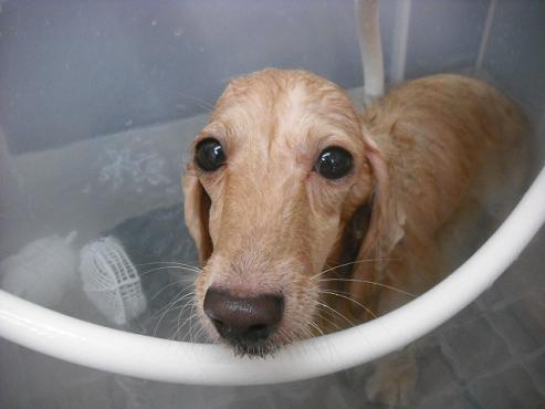 ファイル 1551-2.jpg