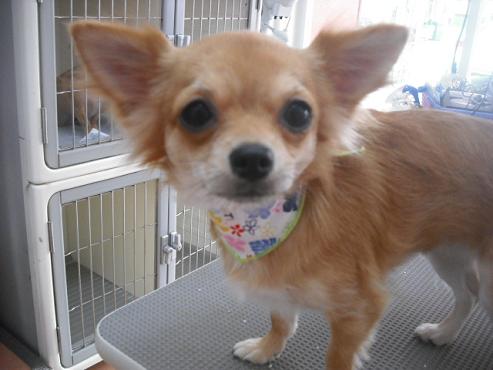 ファイル 1552-1.jpg