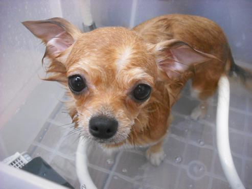 ファイル 1552-2.jpg