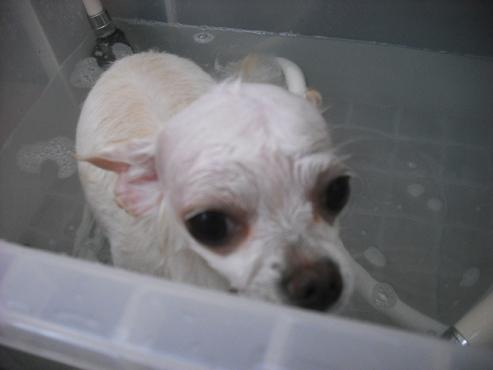 ファイル 1553-2.jpg