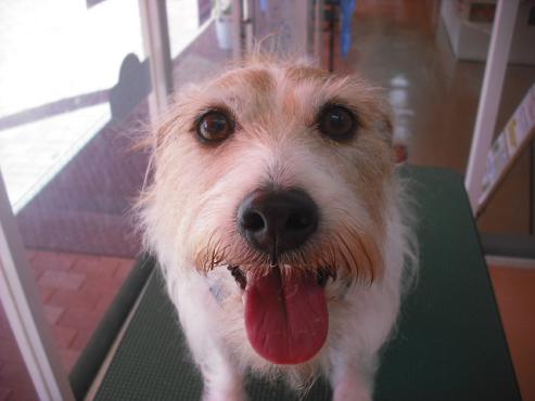 ファイル 1554-1.jpg