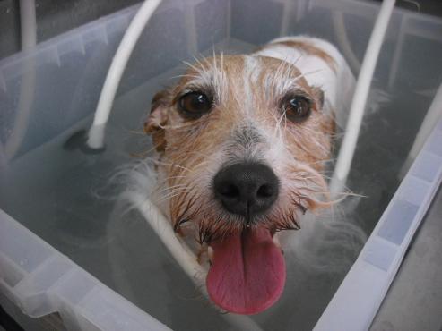 ファイル 1554-2.jpg