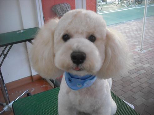 ファイル 1557-1.jpg