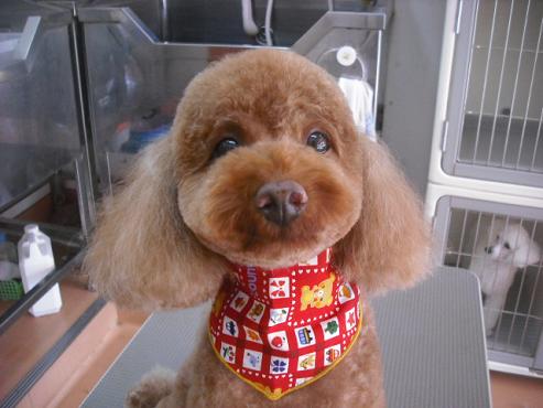 ファイル 1558-1.jpg