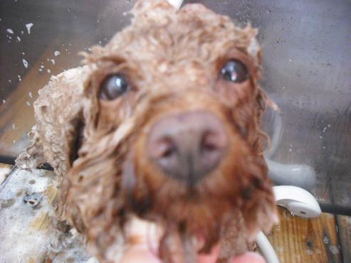 ファイル 1558-2.jpg