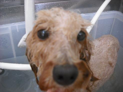 ファイル 1559-2.jpg