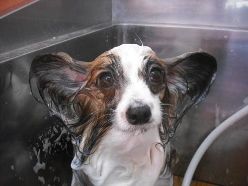 ファイル 156-2.jpg