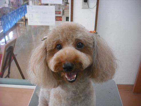 ファイル 1560-1.jpg