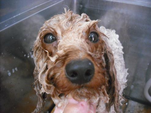 ファイル 1560-2.jpg