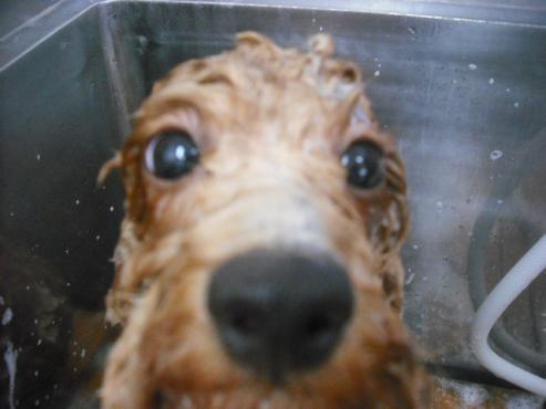 ファイル 1561-2.jpg