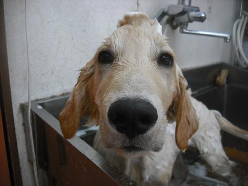 ファイル 1562-2.jpg