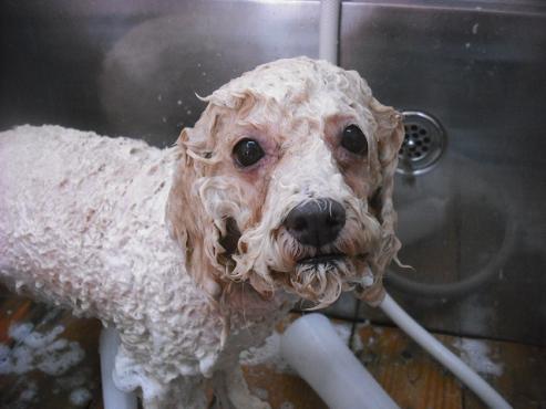 ファイル 1563-2.jpg