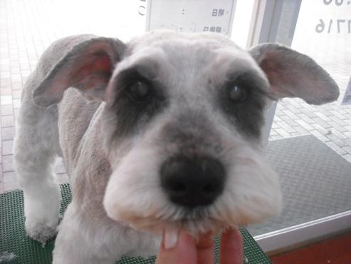 ファイル 1564-1.jpg