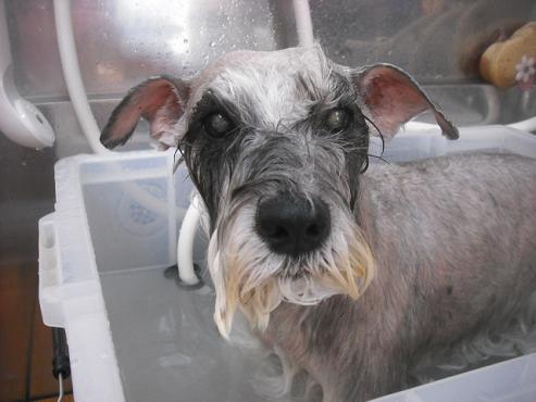 ファイル 1564-2.jpg