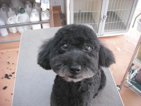 ファイル 1566-1.jpg