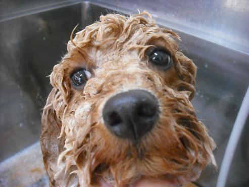 ファイル 1567-2.jpg