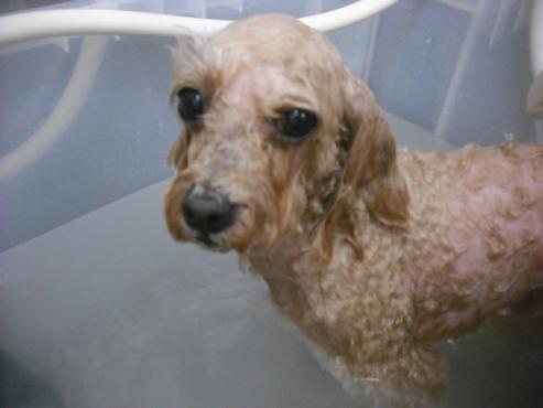 ファイル 1568-2.jpg