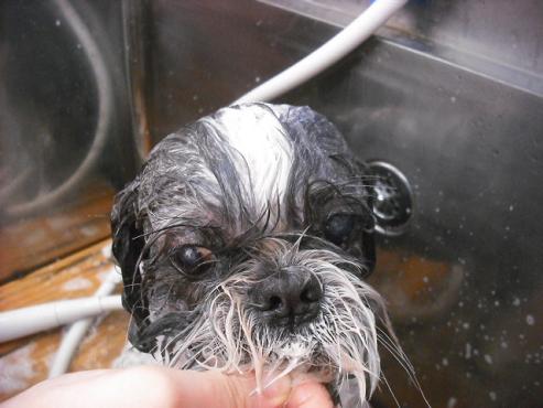 ファイル 1569-2.jpg