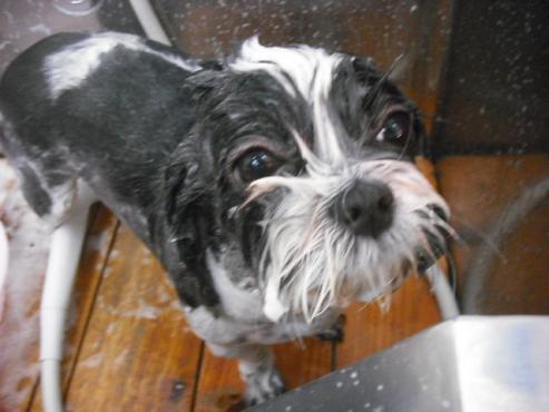 ファイル 157-2.jpg