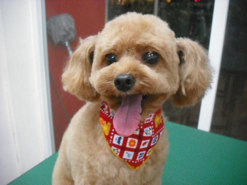 ファイル 1570-1.jpg