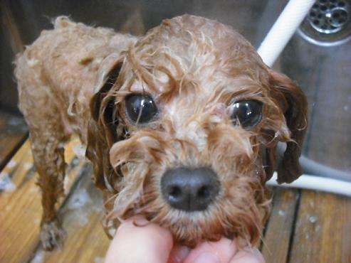 ファイル 1570-2.jpg