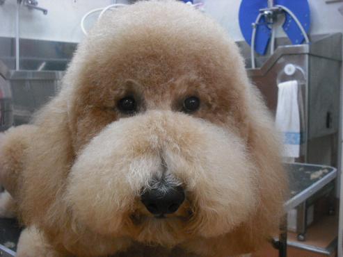 ファイル 1573-1.jpg