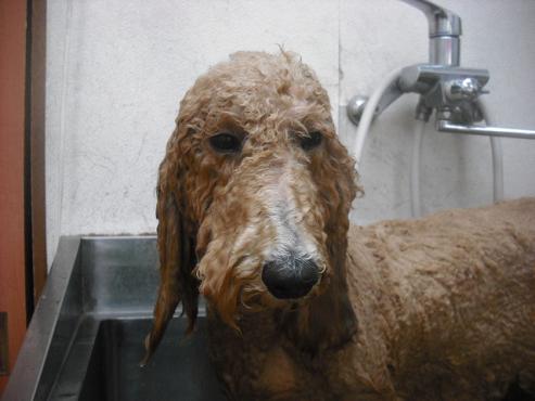 ファイル 1573-2.jpg