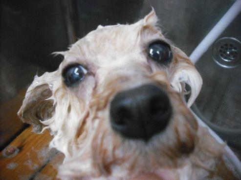 ファイル 1574-2.jpg