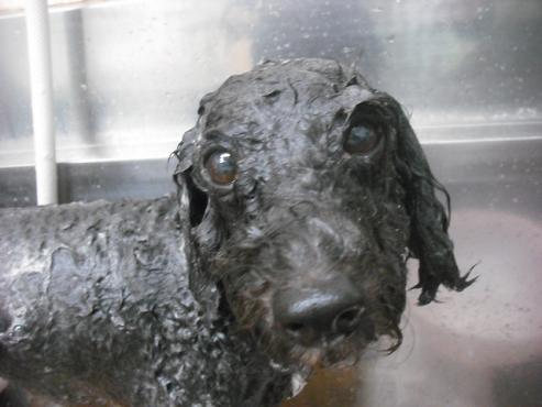 ファイル 1575-2.jpg