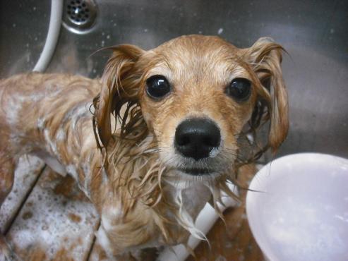 ファイル 1576-2.jpg