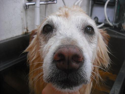 ファイル 1578-2.jpg