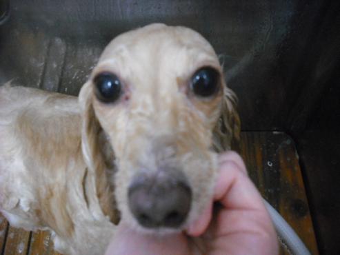 ファイル 1579-2.jpg