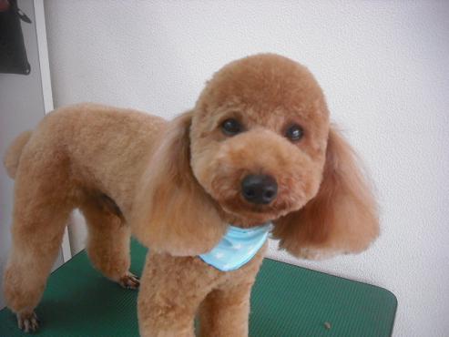 ファイル 1580-1.jpg