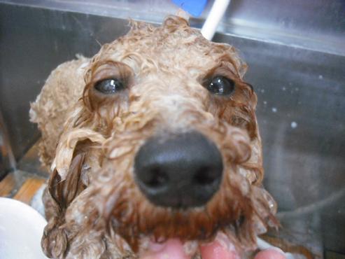 ファイル 1580-2.jpg