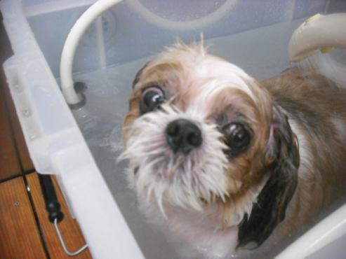 ファイル 1581-2.jpg