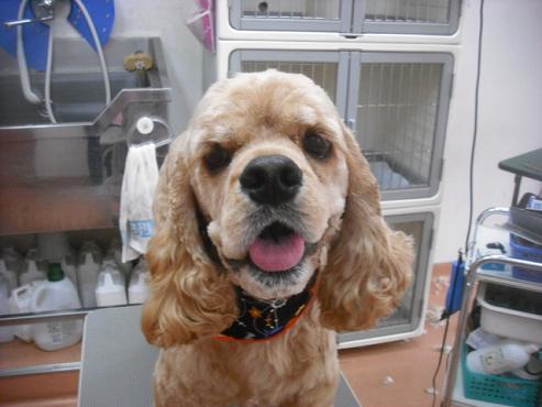 ファイル 1584-1.jpg