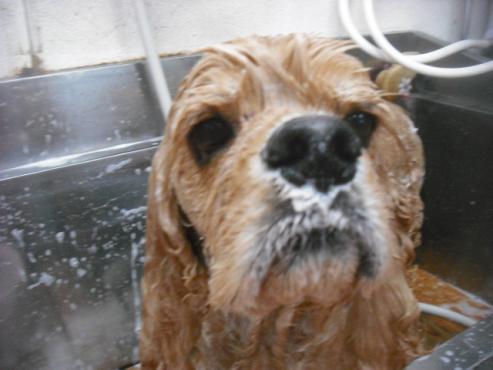 ファイル 1584-2.jpg