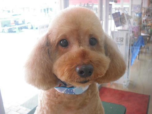 ファイル 1586-1.jpg