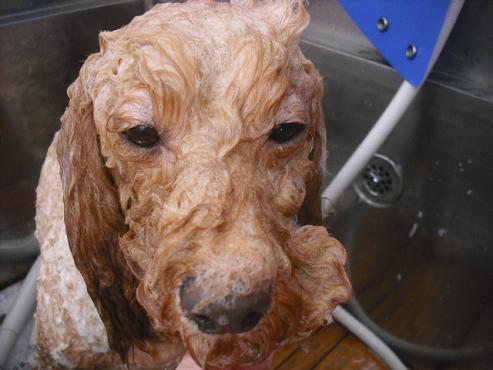 ファイル 1586-2.jpg