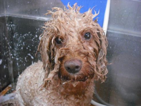 ファイル 1587-2.jpg