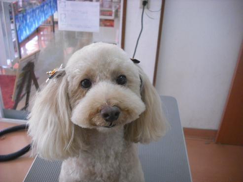 ファイル 1588-1.jpg