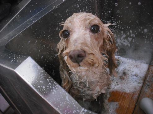 ファイル 1588-2.jpg