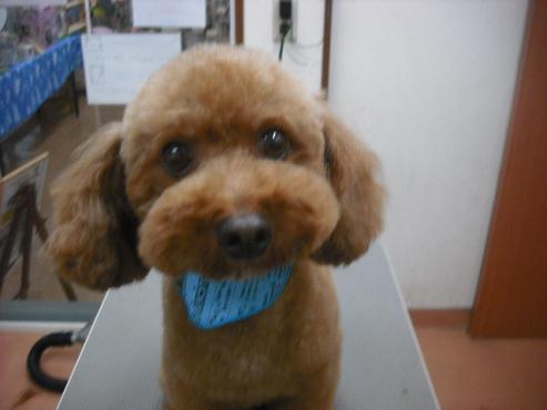 ファイル 1589-1.jpg