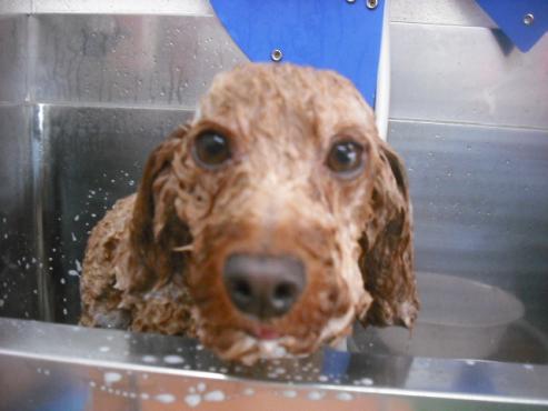 ファイル 1589-2.jpg