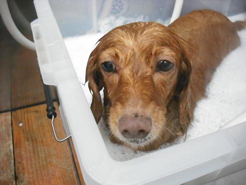 ファイル 1590-2.jpg