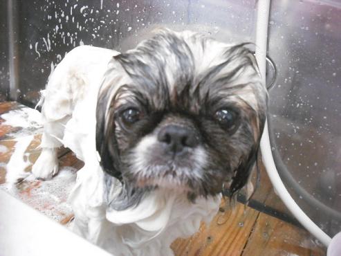 ファイル 1593-2.jpg