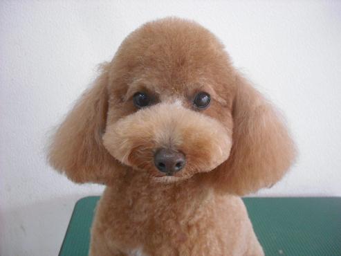 ファイル 1594-1.jpg