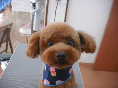 ファイル 1595-1.jpg