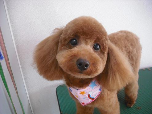 ファイル 160-1.jpg