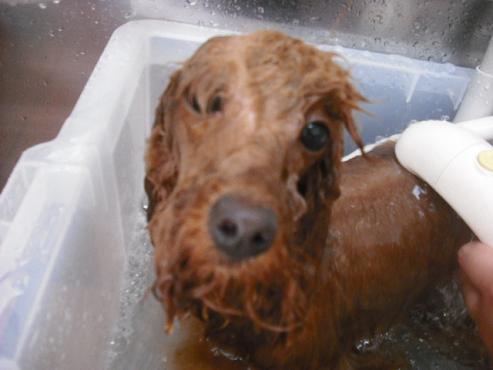 ファイル 160-2.jpg